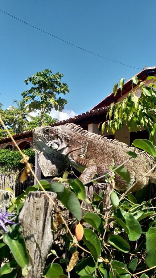 Pousada Eolos Barra Grande  Esterno foto